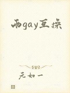 两gay互操