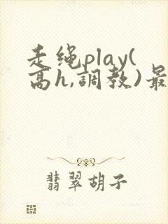 走绳play(高h,调教)最新章节封面