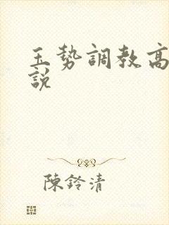 玉势调教高h小说