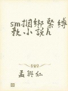 sm捆绑紧缚调教小说h