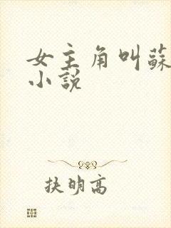 女主角叫苏熙的小说