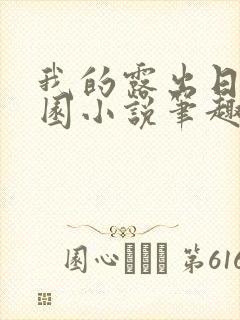 我的露出日记校园小说笔趣阁