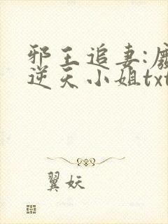 邪王追妻:废材逆天小姐txt下载