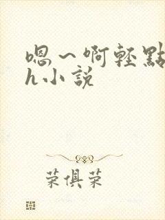 嗯～啊轻点hhh小说