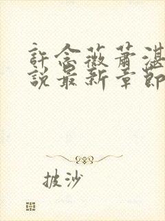 许念薇萧湛明小说最新章节免费阅读