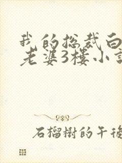 我的总裁白富美老婆3楼小说免费阅读下载