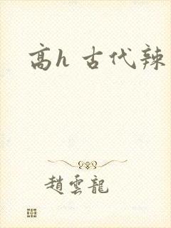高h 古代辣文