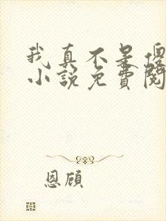 我真不是傻子了小说免费阅读全文