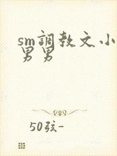 sm调教文小说男男封面