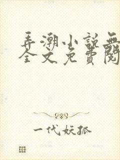 弄潮小说无删减全文免费阅读封面