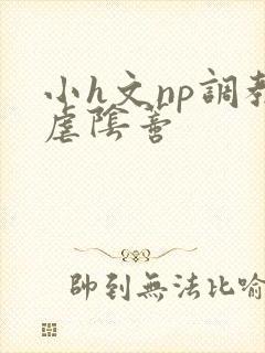 小h文np调教虐阴蒂