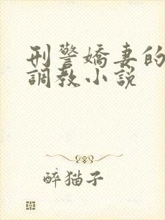 刑警娇妻的变态调教小说封面