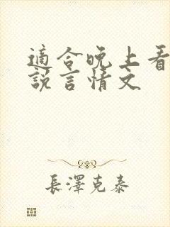 适合晚上看的小说言情文封面