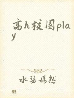 高h校园play封面