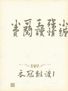 小可王强小说免费阅读情缠父女