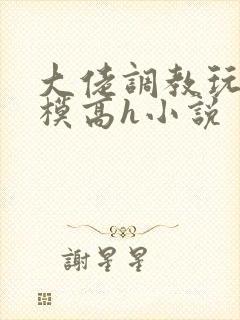 大佬调教玩弄嫩模高h小说封面