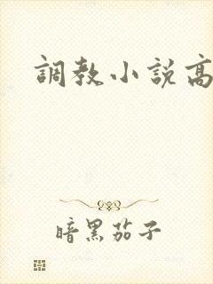 调教小说高h文封面