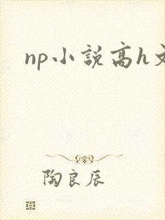 np小说高h文