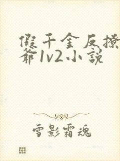 假千金反撩真少爷1v2小说