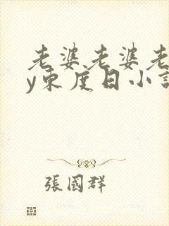 老婆老婆老婆by东度日小说笔趣阁全文阅读封面