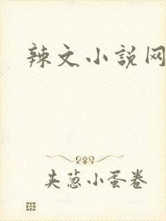 辣文小说网