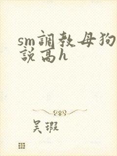 sm调教母狗小说高h
