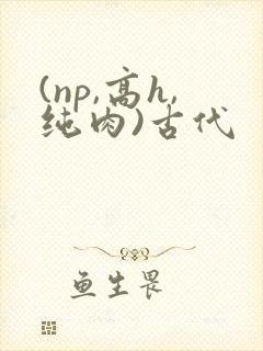 (np,高h,纯肉)古代