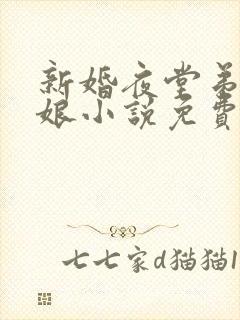 新婚夜堂弟上新娘小说免费阅读最新章节