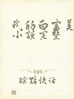 我的白富美老婆小说完整