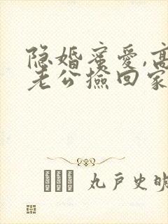 隐婚蜜爱,高冷老公捡回家