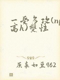 一受多攻(np高h)双性封面