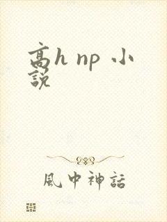 高h np 小说