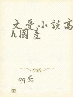 文爱小说高h高h国产封面