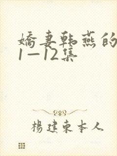 娇妻韩燕的沉沦1—12集