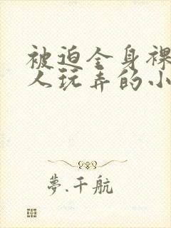 被迫全身裸露供人玩弄的小说