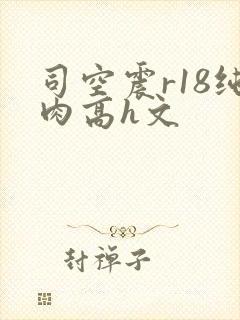 司空震r18纯肉高h文