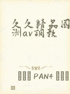 久久精品国产亚洲av调教