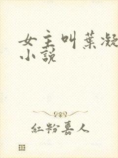 女主叫叶凝月的小说