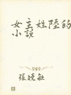 女主姓陆的穿越小说