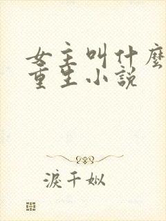 女主叫什么婉的重生小说