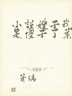 小说嫂子我真不是傻子了叶凡免费全集