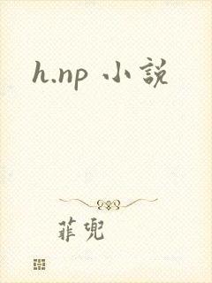 h.np 小说