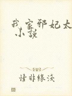 我家邪妃太嚣张 小说