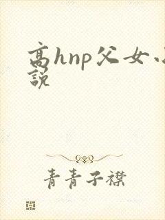 高hnp父女小说