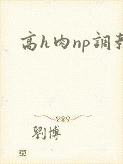 高h肉np调教