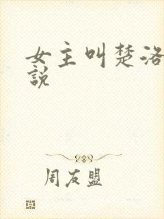 女主叫楚洛的小说