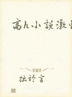 高h小说激情封面