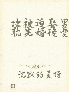 攻被迫娶男妻古耽先婚后爱小说封面