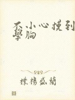 不小心摸到女同学胸