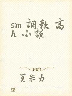 sm 调教 高h 小说